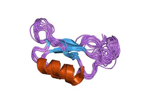 Proprotein convertase 1